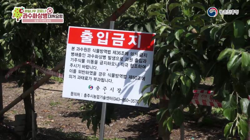 발생 시 대처 요령