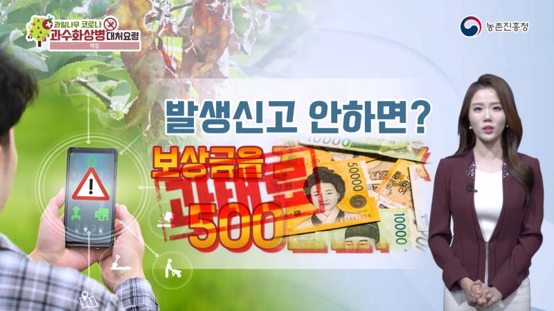 예찰