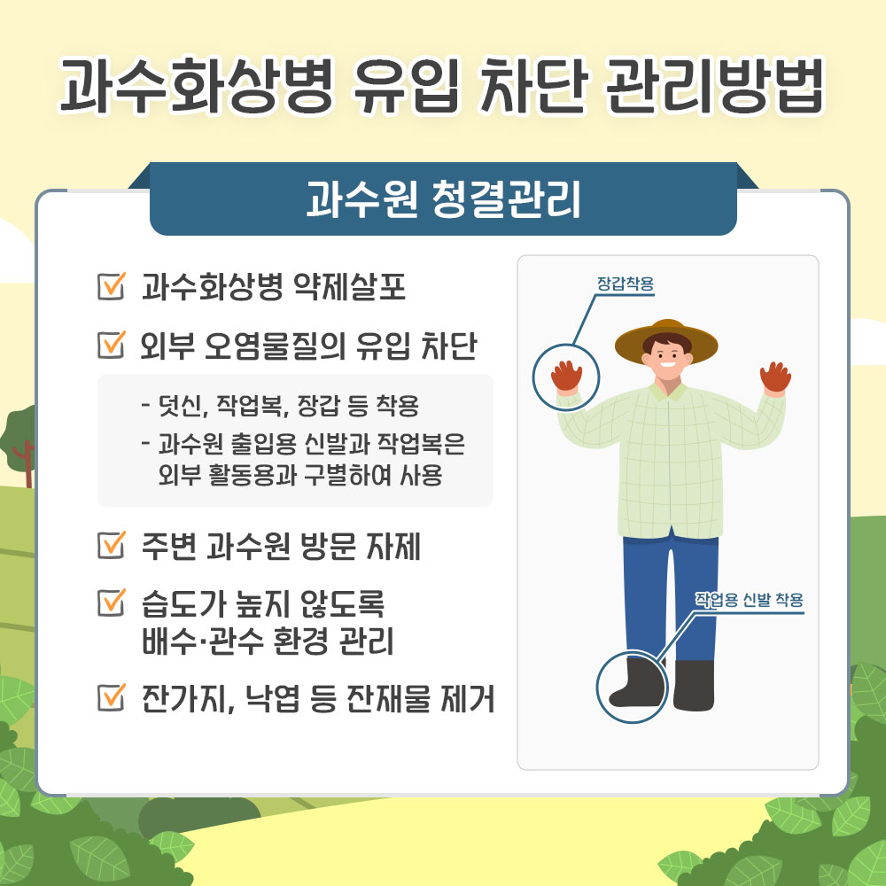 과수화상병 유입차단 관리방법 : 과수원 청결관리 - 과수화상병 약제살포 - 외부 오염물질의 유입차단 * 덧신, 작업복, 장갑 등 착용 * 과수원 출입용 신발과 작업복은 외부 활동용과 구별하여 사용 - 주변 과수원 방문 자제 - 습도가 높지 않도록 배수, 관수환경 관리 - 잔가지, 낙엽 등 잔재물 제거