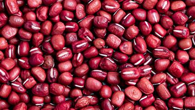 통팥앙금 적합한 굵은 팥 홍미인 소개