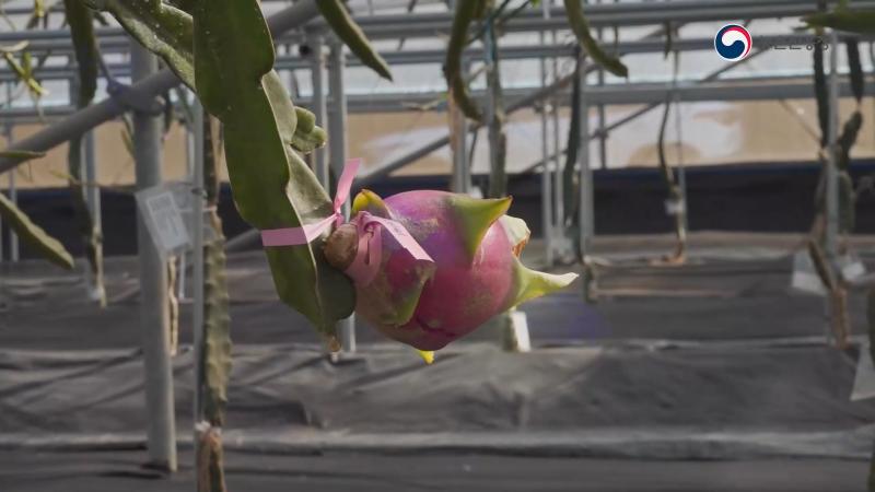 2. 주요 재배 기술