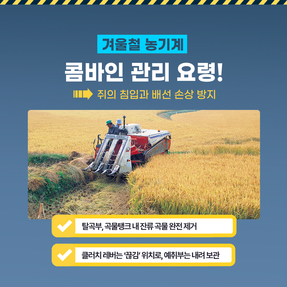겨울철 농기계 콤바인 관리 요령! -> 쥐의 침입과 배선 손상 방지 * 탈곡부, 곡물탱크 내 잔류 곡물 완전 제거 *클러치 레버는'끊김' 위치로, 예취부는 내려 보관
