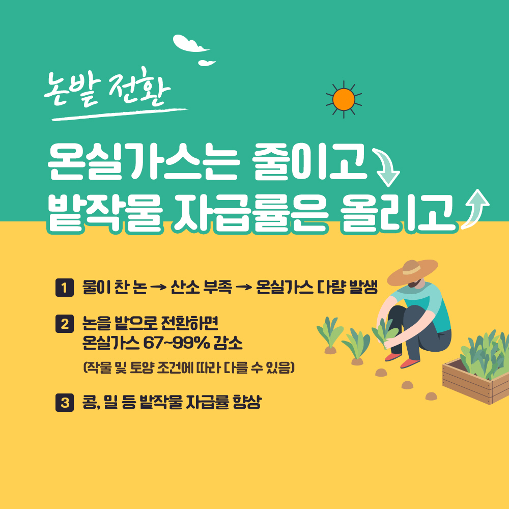 논밭전환 *온실가스는 줄이고, 밭작물 자급률은 올리고 1. 물이 찬 논 → 산소부족 → 온실가스 다량 발생 2. 논을 밭으로 전환하면 온실가스 67~99% 감소(작물 및 토양 조건에 따라 다를수 있음) 3. 콩, 밀 등 밭작물 자급률 향상