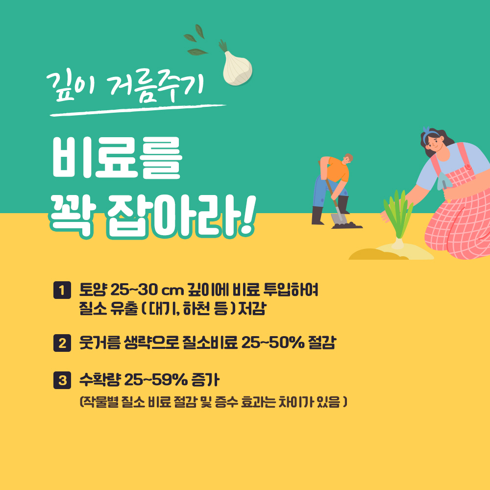 깊이 거름주기 * 비료를 꽉 잡아라! 1. 토양 25~30cm 깊이에 비료 투입하여 질소 유출(대기, 하천 등) 저감 2. 웃거름 생략으로 질소비료 25~50% 절감 3. 수확량 25~59% 증가(작물별 질소 비료 절감 및 증수 효과는 있음)