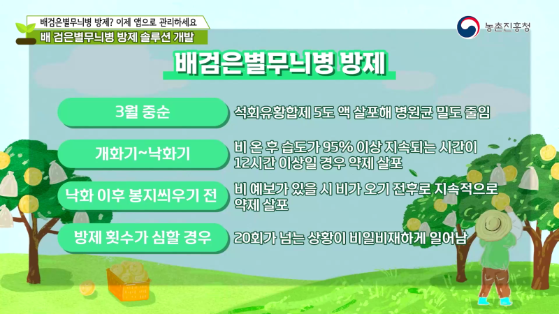 2. 배 검은별무늬병 방제 솔루션 개발