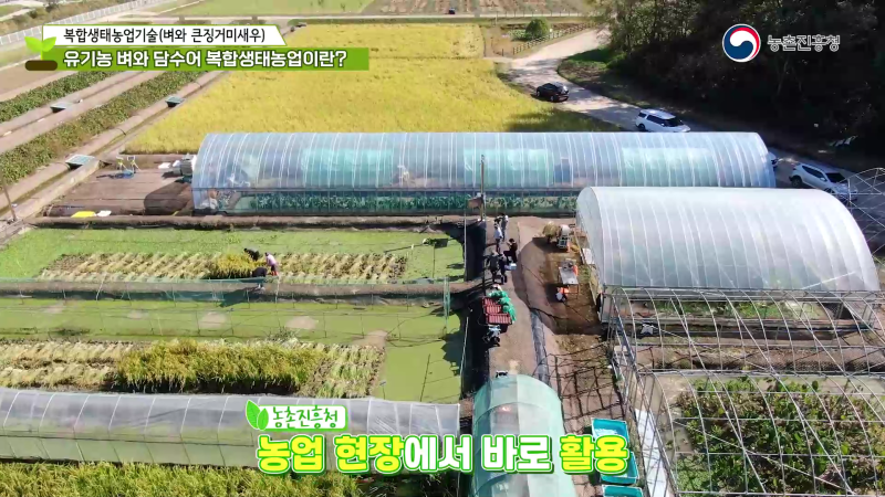 1. 유기농 벼와 담수어 복합생태농업이란? 