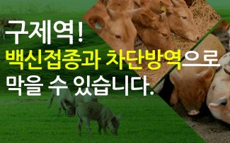구제역! 백신접종과 차단방역으로 막을 수 있습니다.