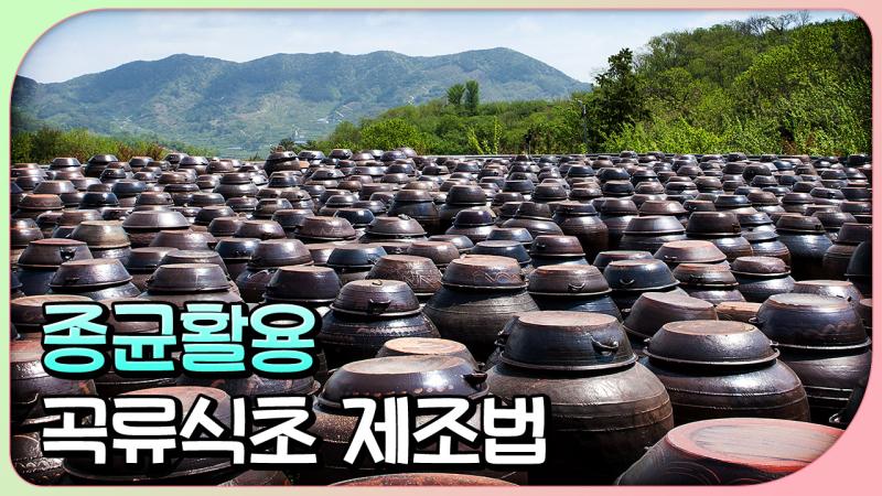 종균활용 곡류식초 제조법(농과원)