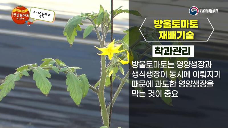 착과관리
