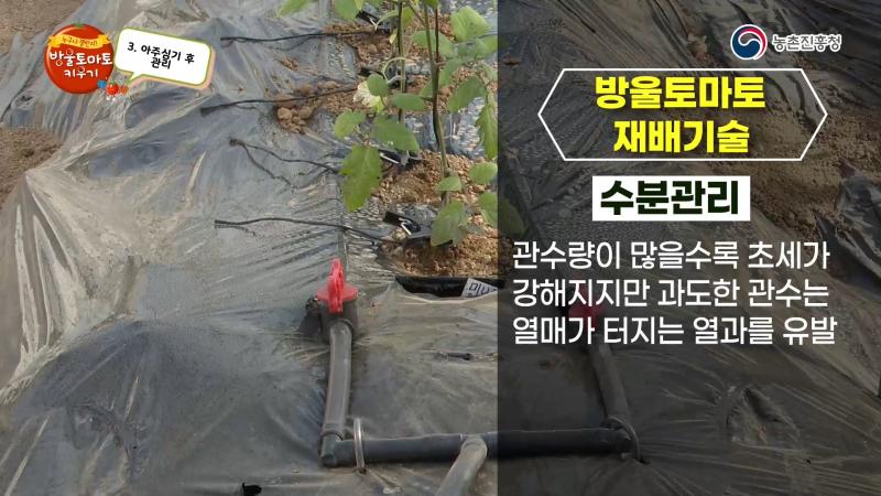 수분관리