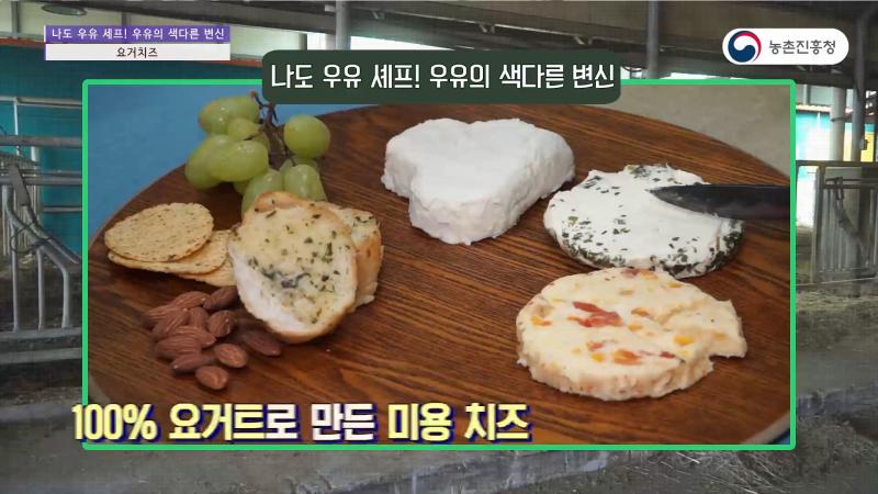 3_가정용 우유요리 : 요거치즈