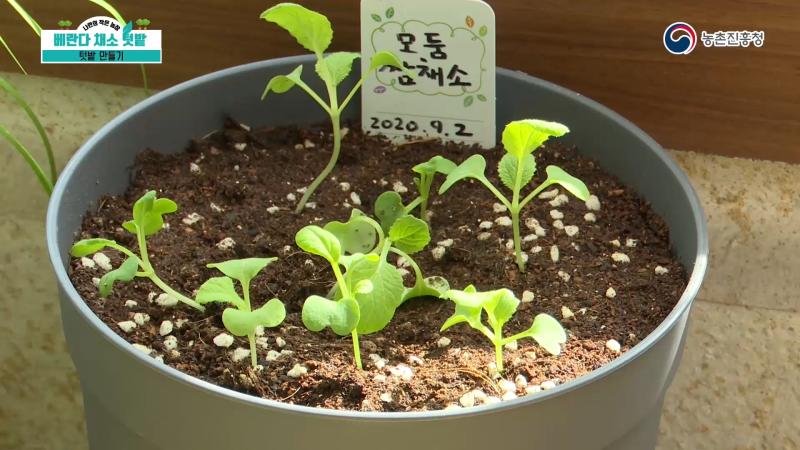 텃밭 만들기