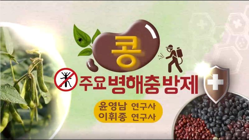 콩 주요 병해충 방제