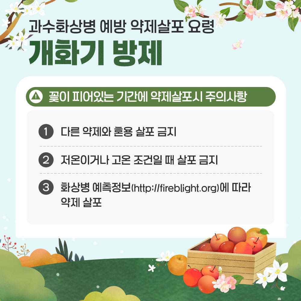 과수화상병 예방 약제살포 요령 -개화기 방제 ! 꽃이 피어있는 기간에 약제살포시 주의사항 ① 다른 약제와 혼용 살포 금지 ② 저온이거나 고온 조건일 때 살포 금지 ③ 화상병 예측정보(http://fireblight.org)에 따라 약제 살포