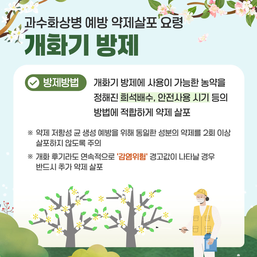 과수화상병 예방 약제살포 요령 -개화기 방제 * 방제방법 : 개화기 방제에 사용이 가능한 농약을 정해진 희석배수, 안전사용 시기 등의 방법에 적합하게 약제 살포 ※ 약제 저항성 균 생성 예방을 위해 동일한 성분의 약제를 2회 이상 살포하지 않도록 주의 ※ 개화 후기라도 연속적으로 '감염위험' 경고값이 나타날 경우 반드시 추가 약제 살포
