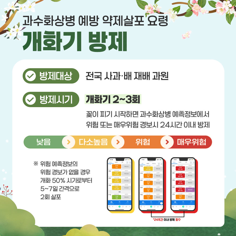 과수화상병 예방 약제살포 요령 -개화기 방제 * 방제대상 : 전국 사과. 배 재배 과원 * 방제시기 : 개화기 2~3회, 꽃이 피기 시작하면 과수화상병 예측정보에서 위험 또는 매우위험 경보시 24시간 이내 방제  =낮음>다소높음>위험>매우위험 ※ 위험 예측정보의 위험 경보가 없을 경우 개화 50% 시기로부터 5~7일 간격으로 2회 살포