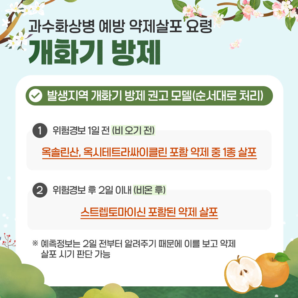 과수화상병 예방 약제살포 요령 -개화기 방제 * 발생지역 개화기 방제 권고 모델(순서대로 처리) ① 위험경보 1일전(비 오기 전) : 옥솔린산, 옥시테트라싸이클린 포함 약제 중 1종 살포 ② 위험경보 후 2일 이내(비온 후) : 스트렙토마이신 포함된 약제 살포 ※ 예측정보는 2일 전부터 알려주기 때문에 이를 보고 약제 살포시기 판단 가능