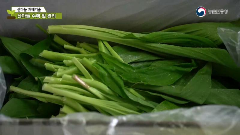 5. 가공 
