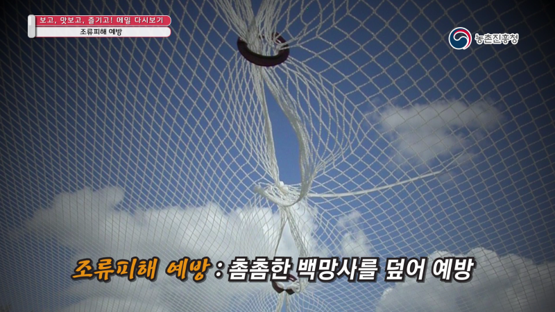 4. 조류피해 예방