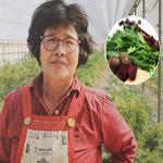 땅과 사람을 살리는 생명채소 농원