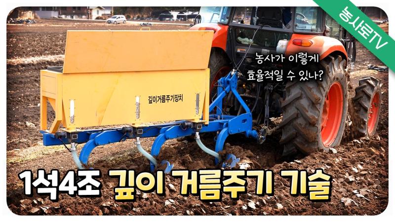 마늘, 양파 깊이거름주기 수량증대 기술 시범