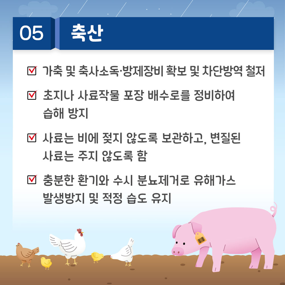 5. 축산 * 가축 및 축사소독, 방제 장비 확보 및 차단 방역 철저 * 초지나 사료작물 포장 배수로를 정비하여 습해 방지 * 사료는 비에 젖지 않도록 보관하고, 변질된 사료는 주지 않도록 함 * 충분한 환기와 수시 분뇨제거로 유해가스 발생방지 및 적정 습도 유지