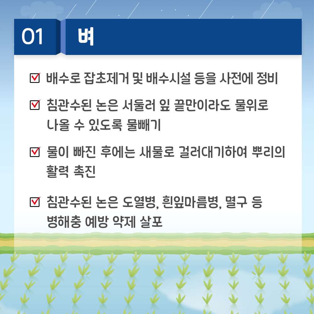 1. 벼 * 배수로 잡초제거 및 배수시설 등을 사전에 정비 * 침관수된 논은 서둘러 잎 끝만이라도 물위로 나올 수 있도록 물빼기 * 물이 빠진 후에는 새물로 걸러대기하여 뿌리의 활력 촉진 * 침관수된 논은 도열병, 흰잎마름병, 멸구 등 병해충 예방 약제 살포
