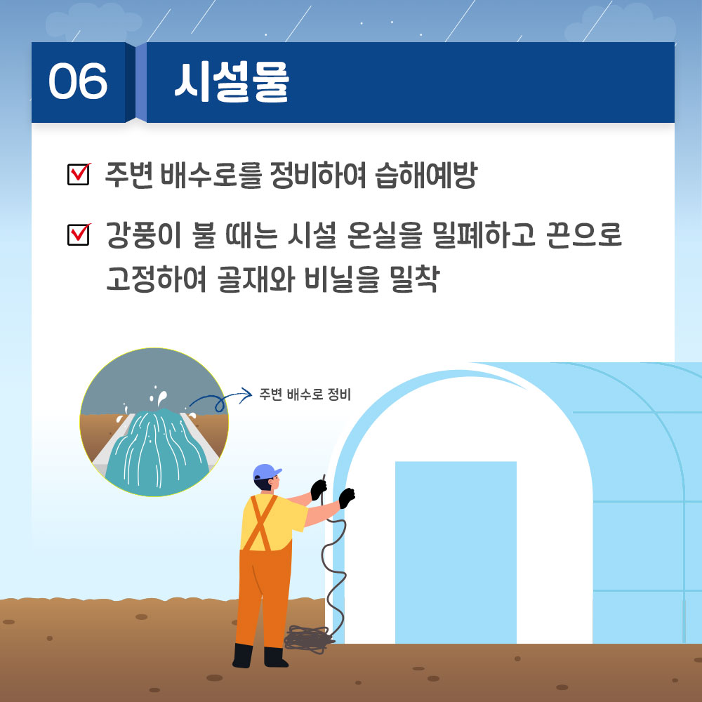 6. 시설물 *주변 배수로를 정비하여 습해예방 * 강풍이 불 때는 시설 온실을 밀폐하고 끈으로 고정하여 골재와 비닐을 밀착