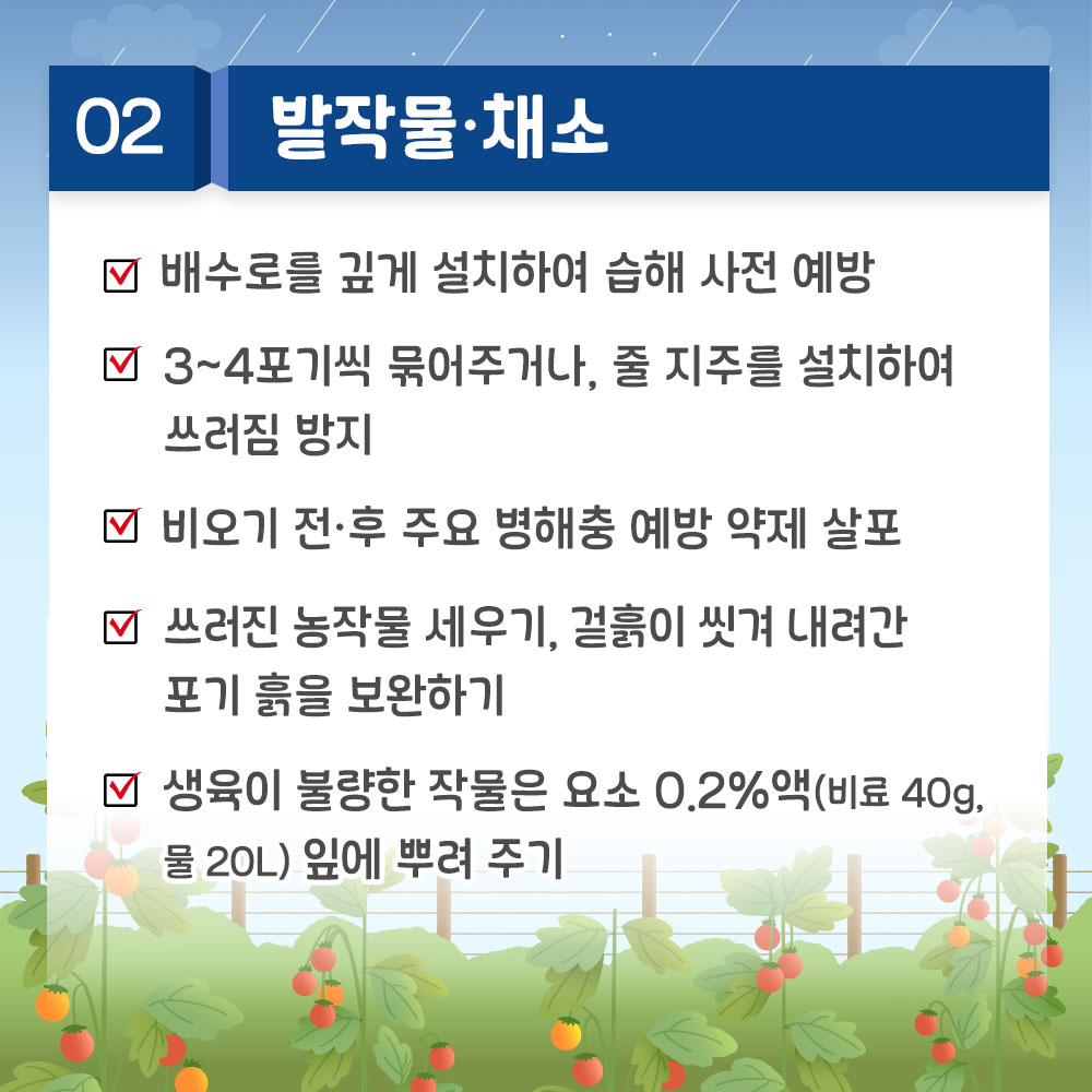 2. 밭작물. 채소 * 배수로를 깊게 설치하여 습해 사전 예방 * 3~4포기씩 묶어주거나 줄 지주를 설치하여 쓰러짐 방지 * 비오긴 전, 후 주요 병해충 예방 약제 살포  * 쓰러진 농작물 세우기, 겉흙이 씻겨 내려간 포기 흙을 보완하기 * 생육이 불량한 작물은 요서 0.2%액(비료 40g, 물 20L)잎에 뿌려주기
