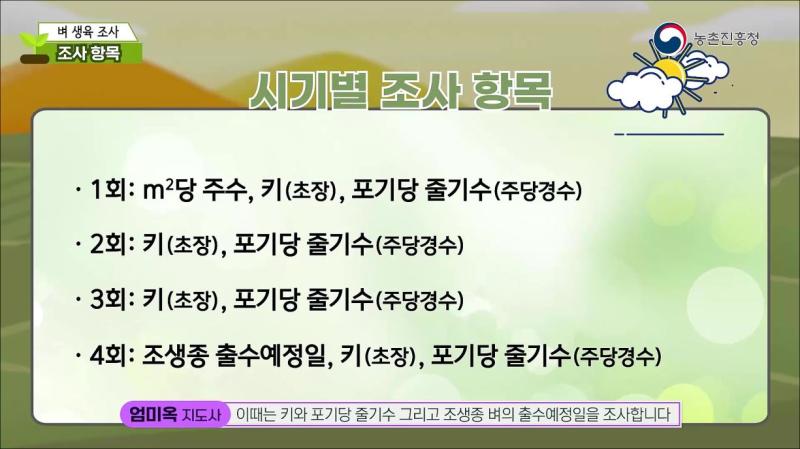 조사 항목