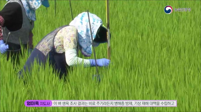병해충조사