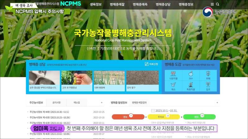 NCPMS입력방법