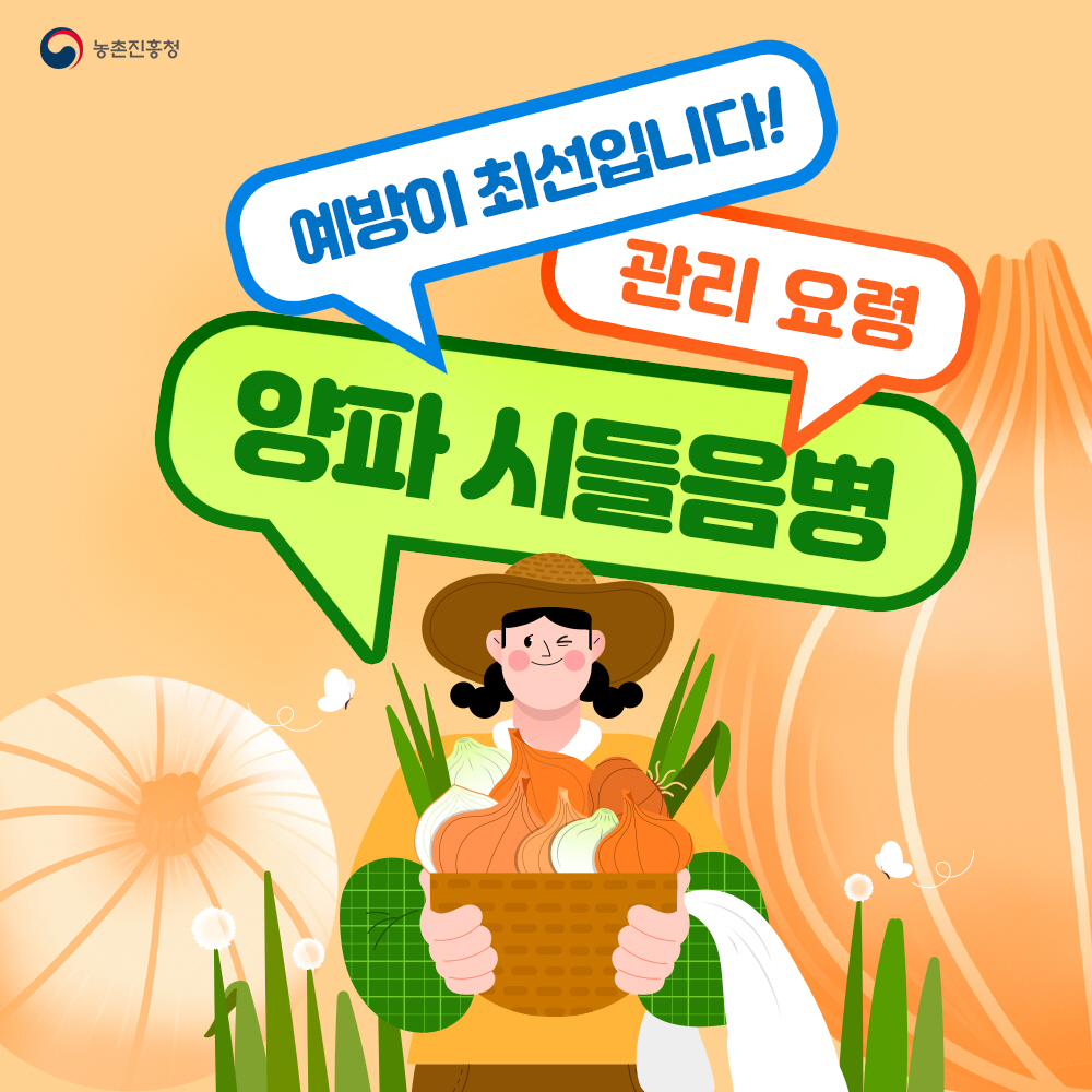 예방이 최선입니다! 양파 시들음병 관리요령