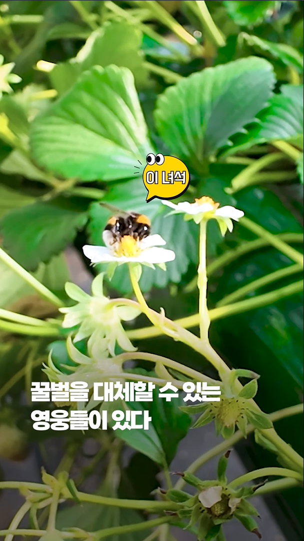 신기술 보급 현장 속으로 썸네일 이미지