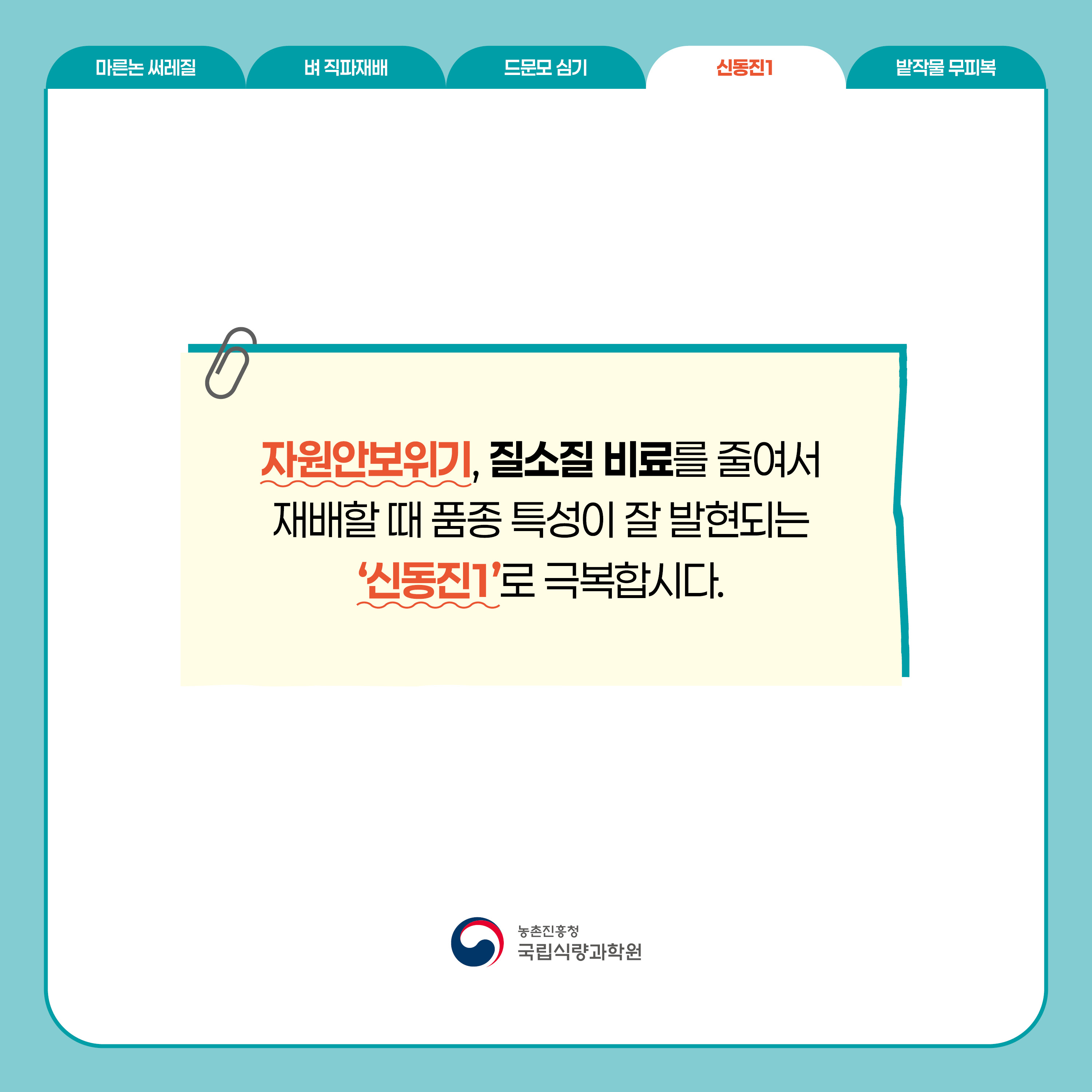 신동진1 자원안보위기, 질소질 비료를 줄여서 재배할 때 품종 특성이 잘 발현되는 '신동진1'로 극복합시다.  농촌진흥청 국립식량과학원