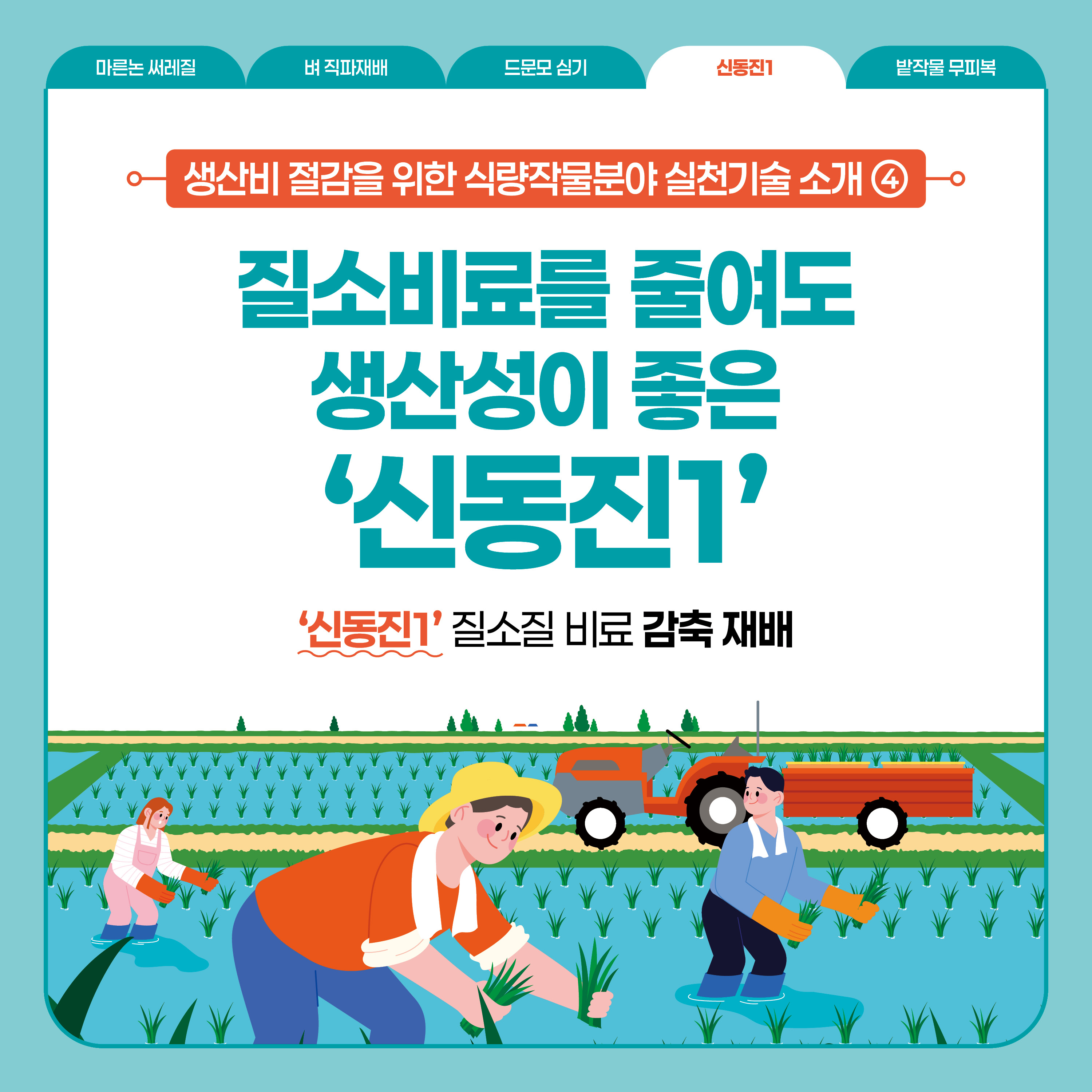 신동진1  생산비 절감을 위한 식량작물분야 실천기술 소개 ④  질소비료를 줄여도 생산성이 좋은 '신동진1'  '신동진1' 질소질 비료 감축 재배