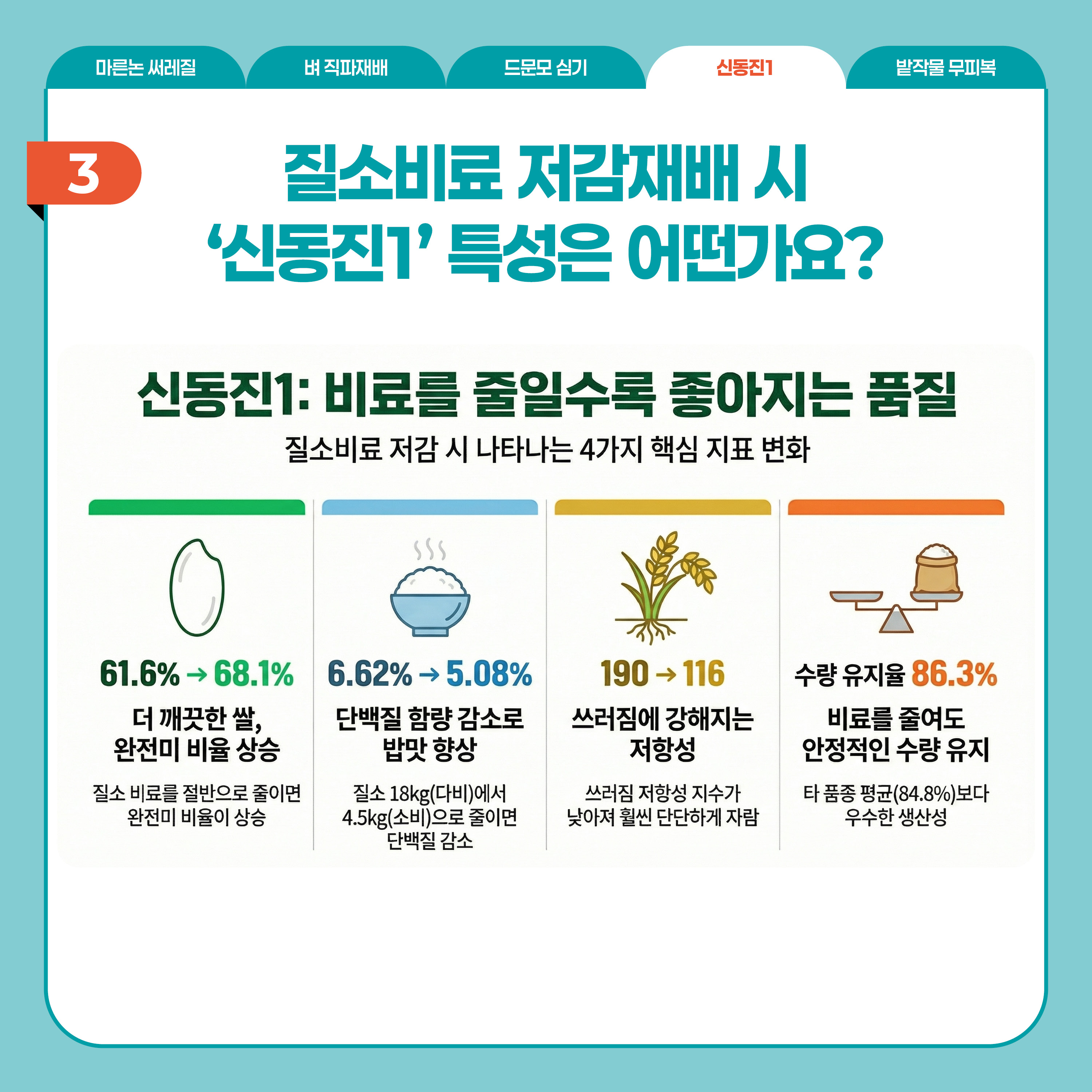 신동진1  3 질소비료 저감재배 시 '신동진1' 특성은 어떤가요? 신동진1: 비료를 줄일수록 좋아지는 품질  질소비료 저감 시 나타나는 4가지 핵심 지표 변화   61.6% → 68.1% 더 깨끗한 쌀, 완전미 비율 상승  질소 비료를 절반으로 줄이면 완전미 비율이 상승  6.62% → 5.08%  단백질 함량 감소로 밥맛 향상  질소 18kg(다비)에서 4.5kg(소비)으로 줄이면 단백질 감소  190 → 116  쓰러짐에 강해지는 저항성  쓰러짐 저항성 지수가 낮아져 훨씬 단단하게 자람  수량 유지율 86.3%  비료를 줄여도 안정적인 수량 유지  타 품종 평균(84.8%) 보다 우수한 생산성