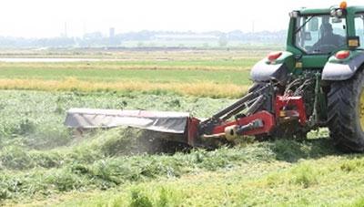 월동 후 동계 사료작물 재배관리 요령