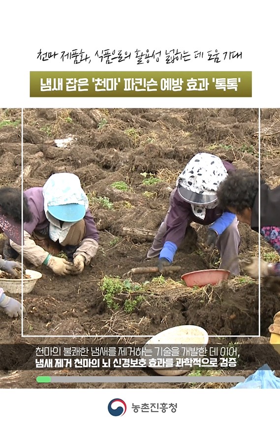 냄새 잡는 천마 파킨슨 예방 톡톡