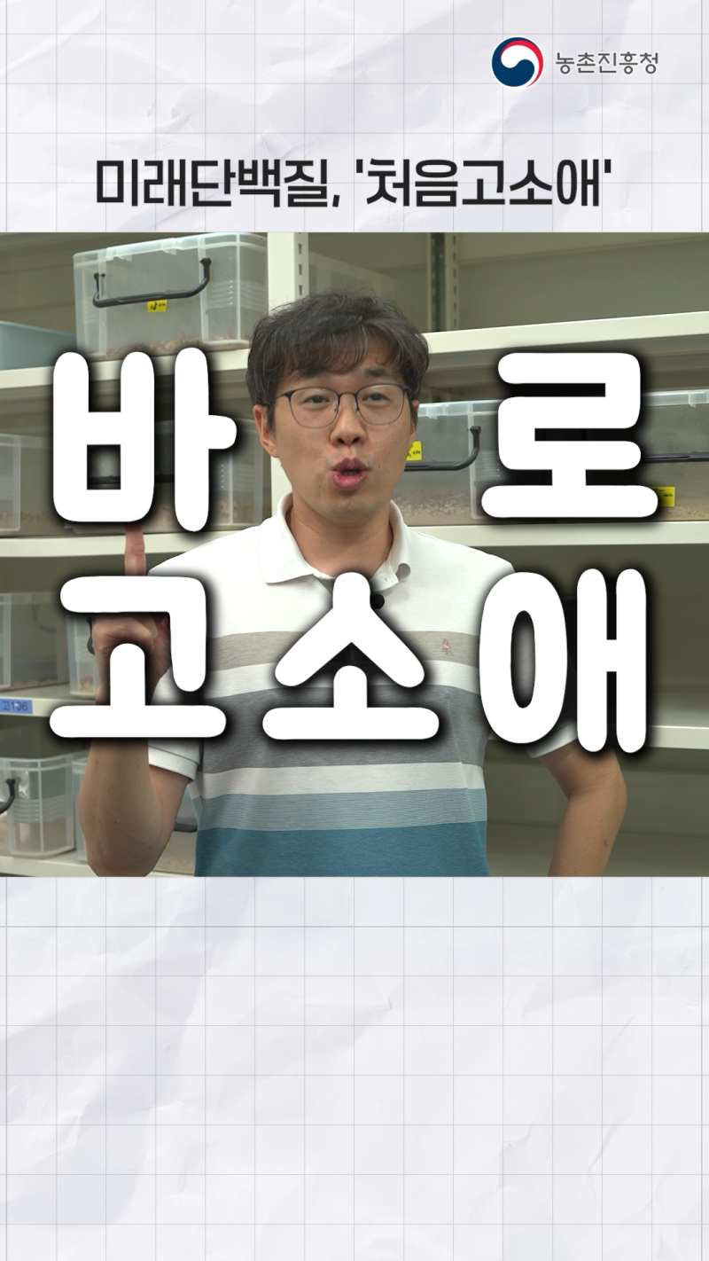 성장 빠르고 증체량 우수한 고소애 첫 품종, 처음고소애_쇼츠 A