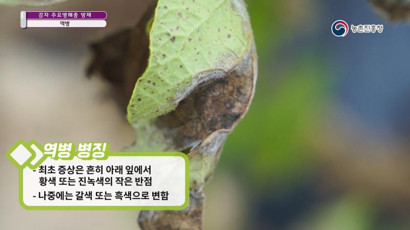 2. 역병