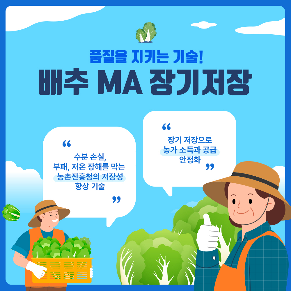 품질을 지키는 기술! 배추 MA 장기 저장 * 수분 손실, 부패, 저온 장해를 막는 농촌진흥청의 저장성 향상 기술 * 장기 저장으로 농가 소득과 공급 안정화