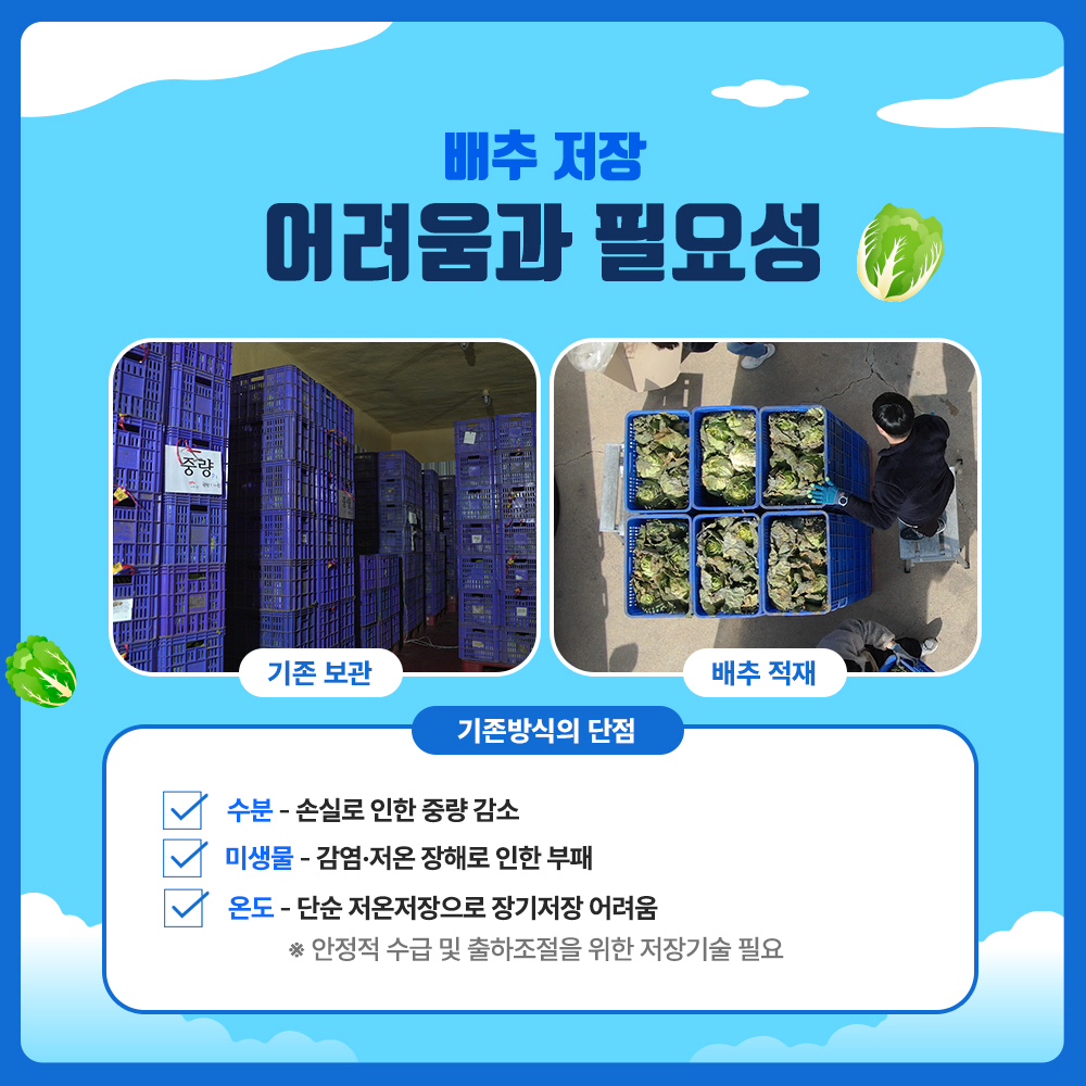 배추저장 어려움과 필요성 * 기존방식(기존보관, 배추적재)의 단점 : 수분(손실로 인한 중량 감소), 미생물(감염, 저온 장해로 인한 부패), 온도(단순 저온저장으로 장기 저장 어려움) * 안정적 수급 및 출하조절을 위한 저장기술 필요