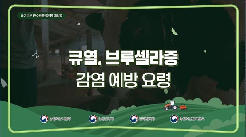 큐열, 브루셀라증 감염 예방