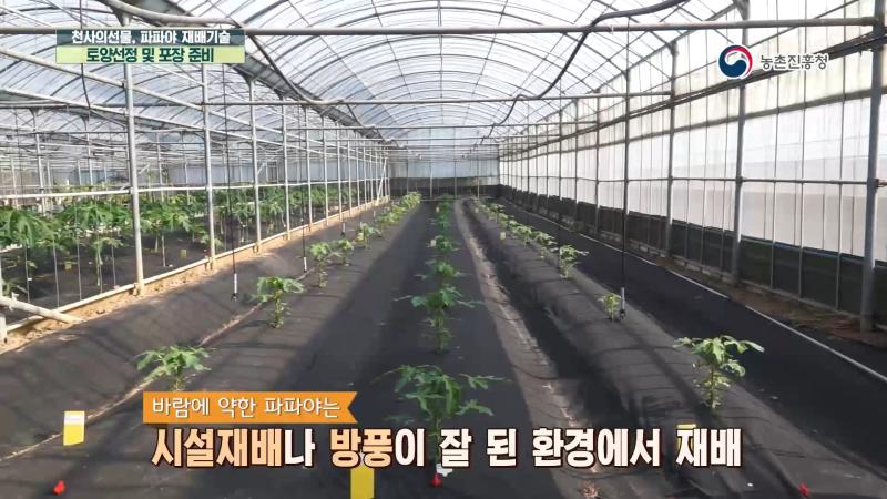 3. 토양 선정 및 포장 준비