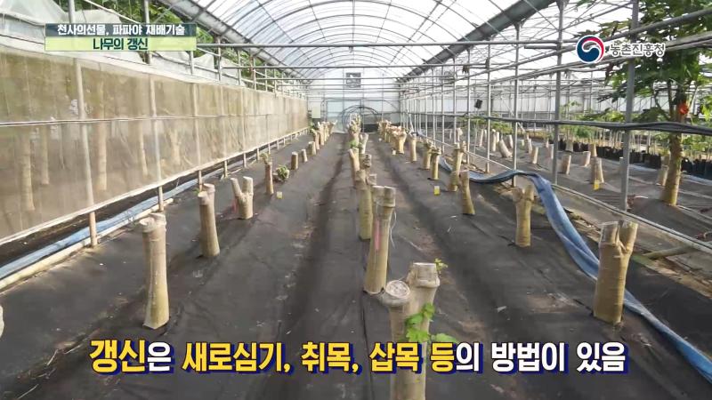 7. 나무의 갱신