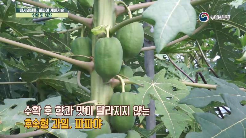 6. 수확 및 저장