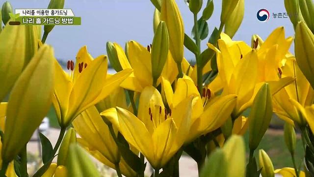 2. 나리 홈 가드닝 방법