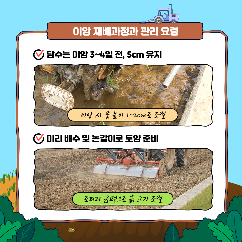이앙 재배과정과 관리요령 1) 담수는 이앙 3~4일전, 5cm 유지 2) 미리 배수 및 논갈이로 토양 준비