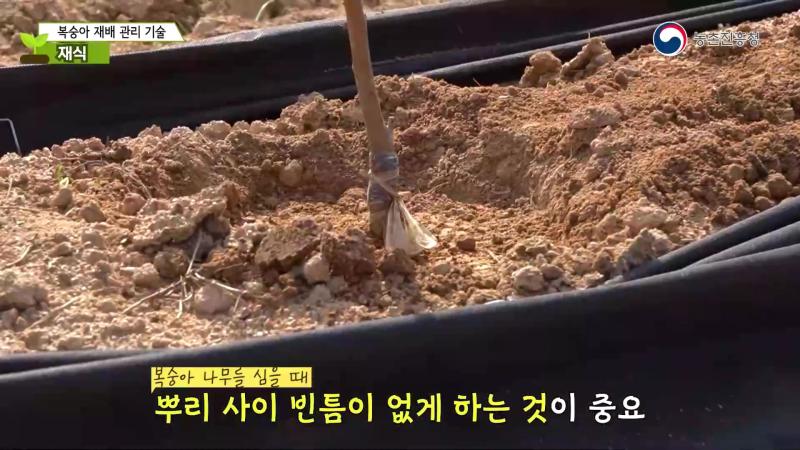 재식